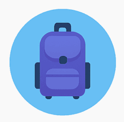 Bag or Suitcase