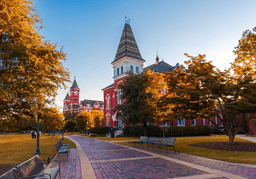 Auburn