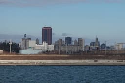 Buffalo