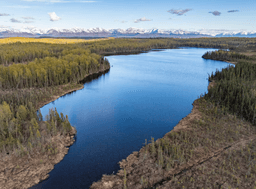 Knik-Fairview